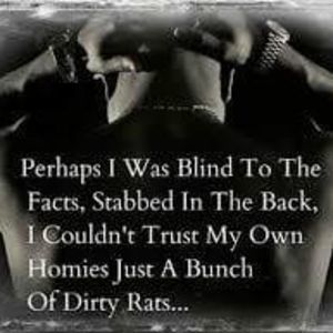 Meet your Posher, Richard